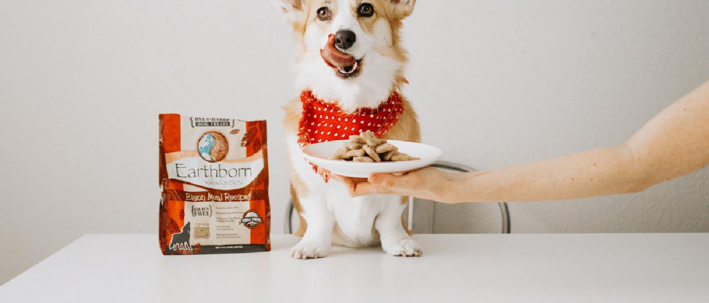 American Journey Dog Treats Reviews (Oven Baked Wholesome Crunchy Bits)
