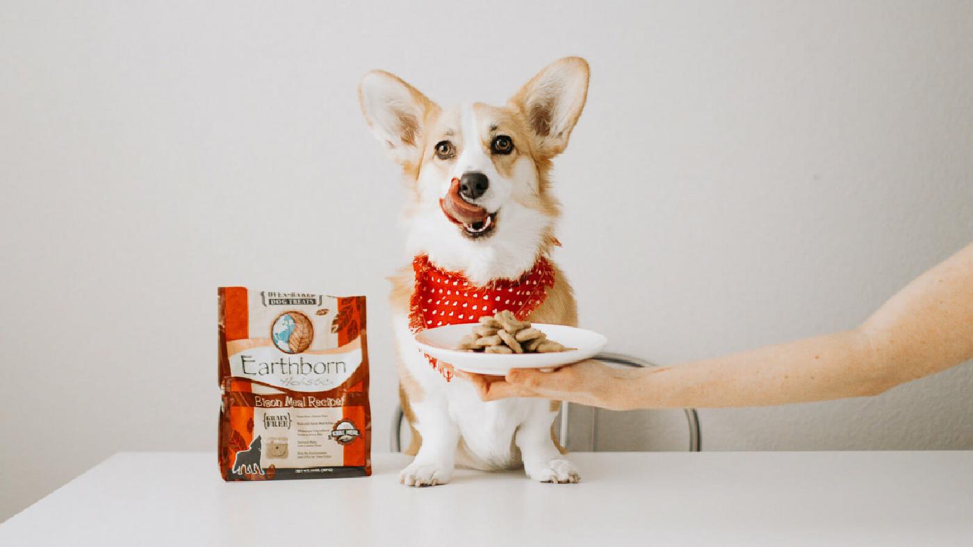 American Journey Dog Treats Reviews (Oven Baked Wholesome Crunchy Bits)