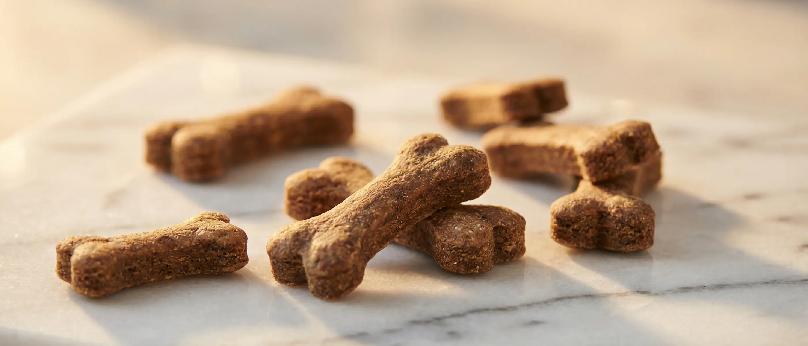 Ostrich Bone Dog Food - Training Treats!