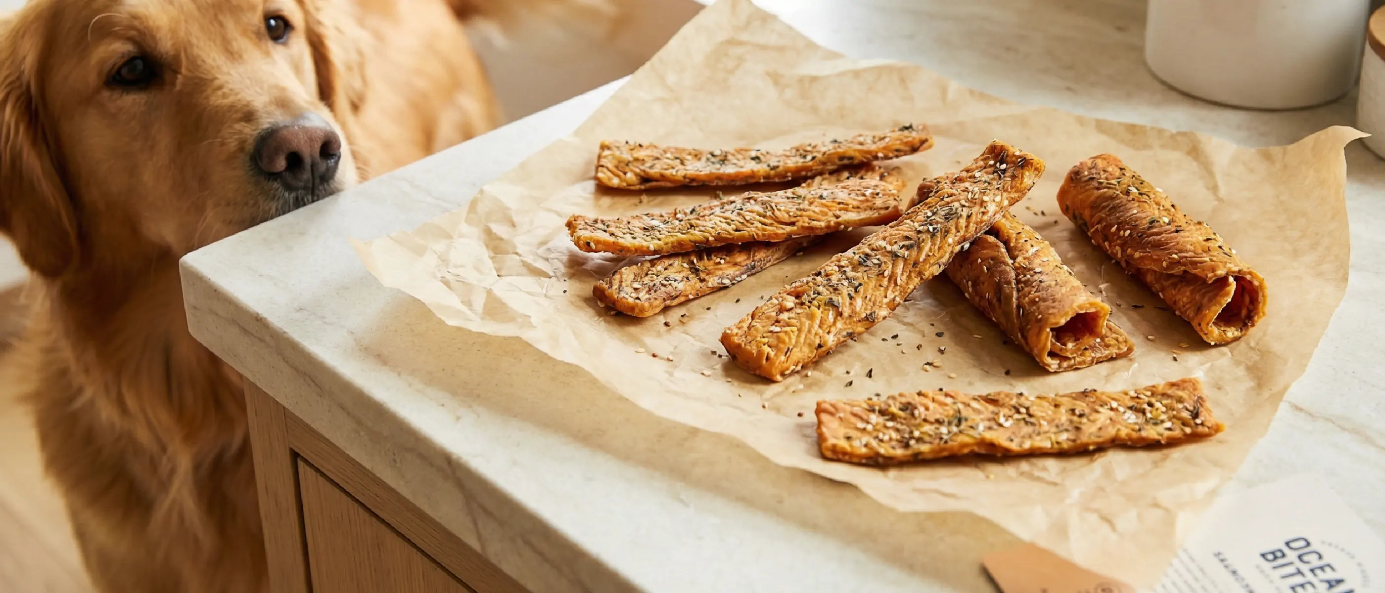 Salmon Jerky for Dogs | Natural Grain Free Dog Treats by Nulo