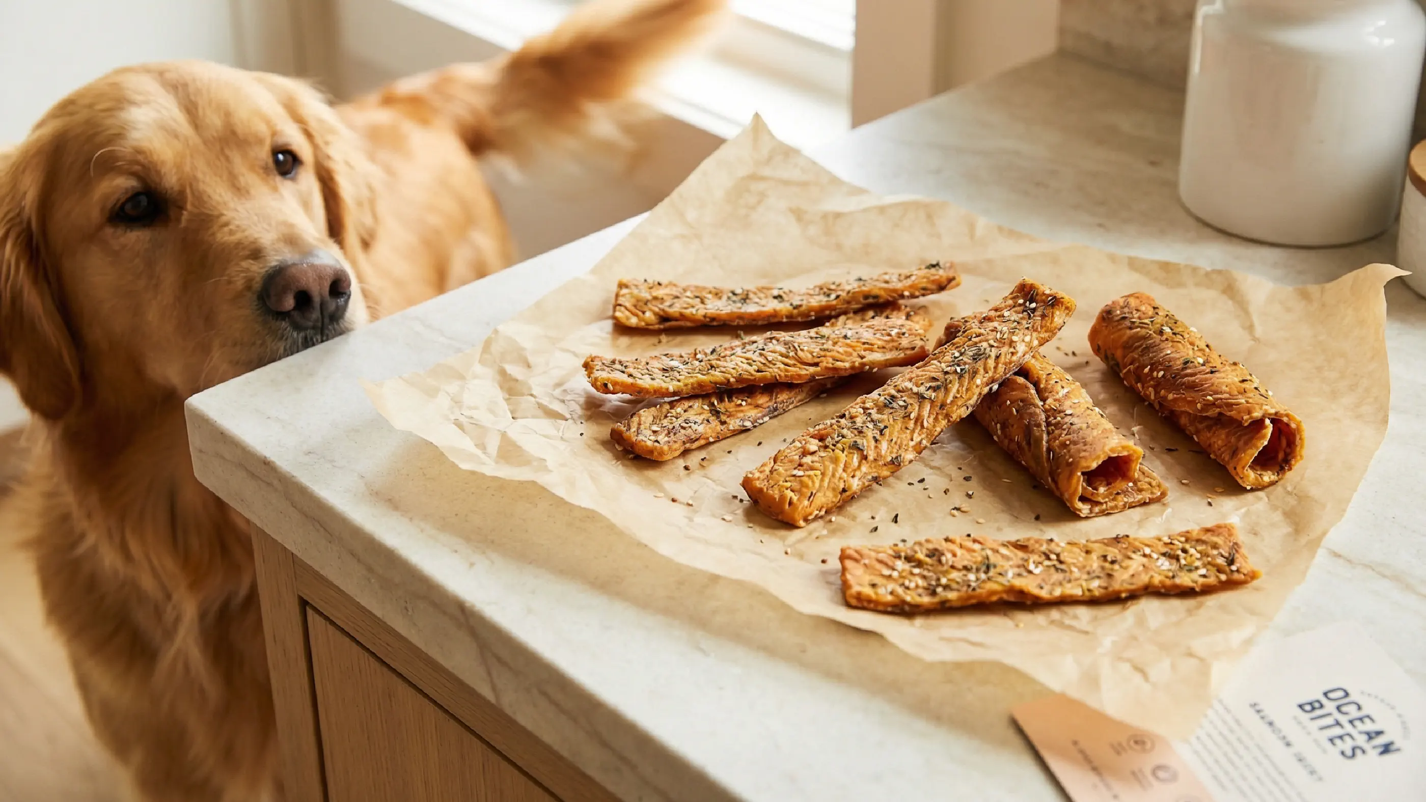 Salmon Jerky for Dogs | Natural Grain Free Dog Treats by Nulo